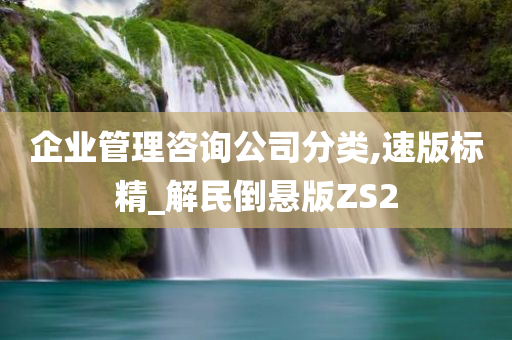 企业管理咨询公司分类,速版标精_解民倒悬版ZS2