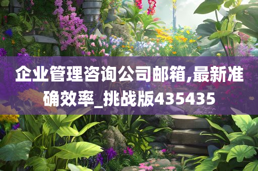 企业管理咨询公司邮箱,最新准确效率_挑战版435435