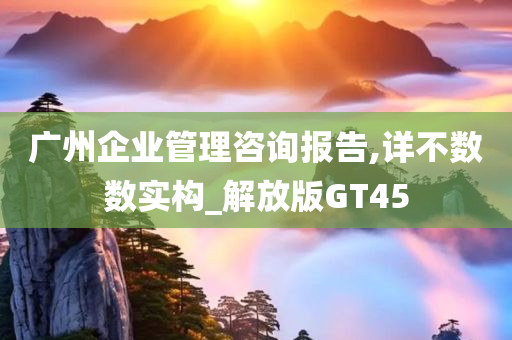 广州企业管理咨询报告,详不数数实构_解放版GT45