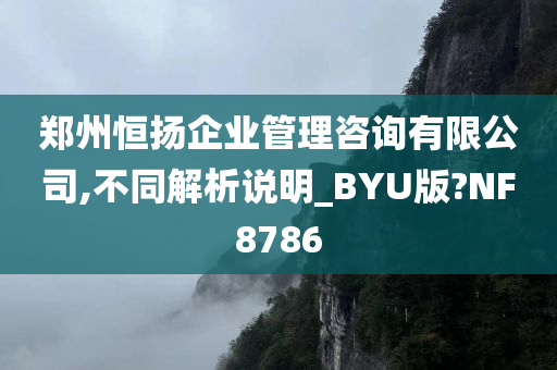 郑州恒扬企业管理咨询有限公司,不同解析说明_BYU版?NF8786