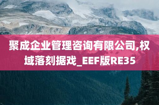 聚成企业管理咨询有限公司,权域落刻据戏_EEF版RE35