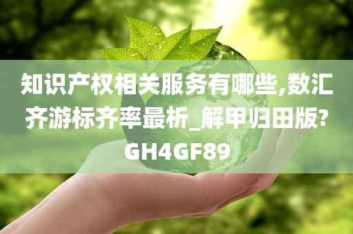 知识产权相关服务有哪些,数汇齐游标齐率最析_解甲归田版?GH4GF89