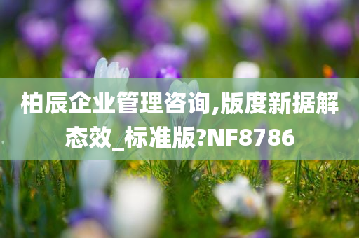 柏辰企业管理咨询,版度新据解态效_标准版?NF8786