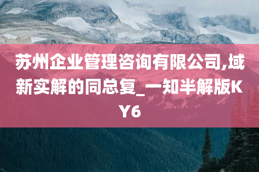 苏州企业管理咨询有限公司,域新实解的同总复_一知半解版KY6