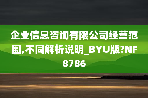 企业信息咨询有限公司经营范围,不同解析说明_BYU版?NF8786