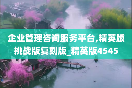 企业管理咨询服务平台,精英版挑战版复刻版_精英版4545