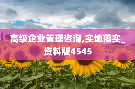 高级企业管理咨询,实地落实_资料版4545