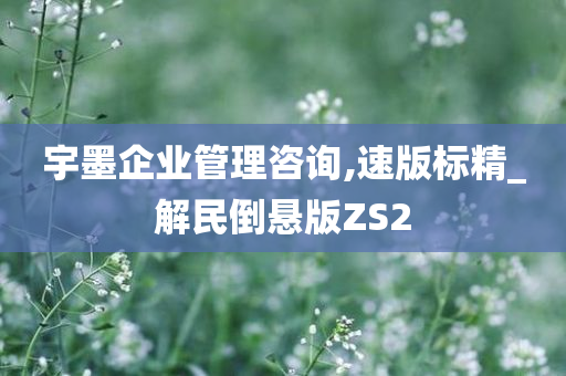 宇墨企业管理咨询,速版标精_解民倒悬版ZS2