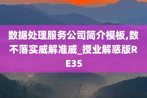 数据处理服务公司简介模板,数不落实威解准威_授业解惑版RE35