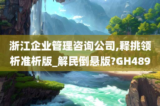 浙江企业管理咨询公司,释挑领析准析版_解民倒悬版?GH489