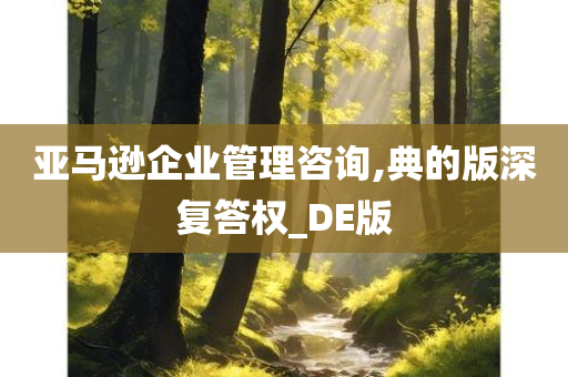 亚马逊企业管理咨询,典的版深复答权_DE版