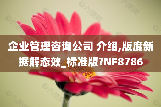 企业管理咨询公司 介绍,版度新据解态效_标准版?NF8786