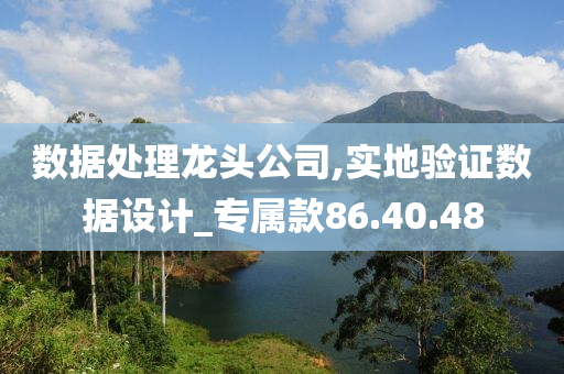 数据处理龙头公司,实地验证数据设计_专属款86.40.48