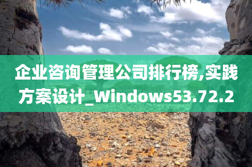 企业咨询管理公司排行榜,实践方案设计_Windows53.72.20