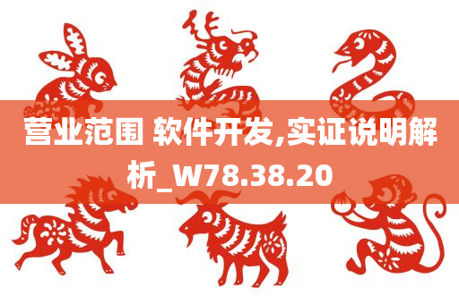 营业范围 软件开发,实证说明解析_W78.38.20