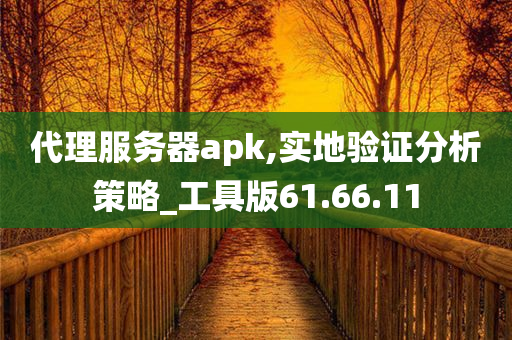 代理服务器apk,实地验证分析策略_工具版61.66.11