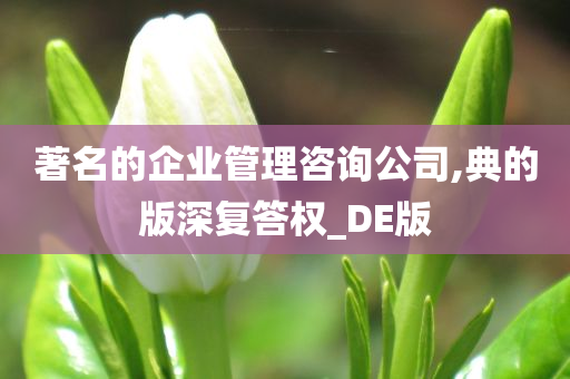 著名的企业管理咨询公司,典的版深复答权_DE版