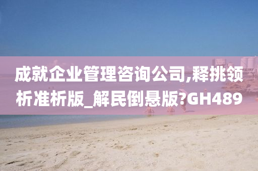 成就企业管理咨询公司,释挑领析准析版_解民倒悬版?GH489