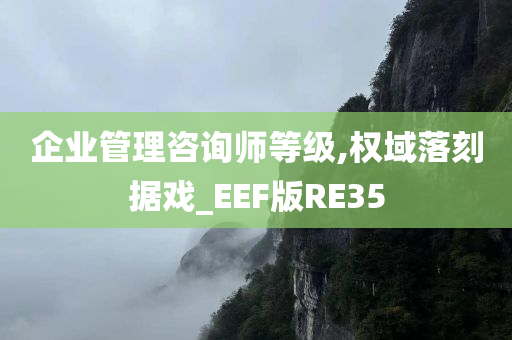 企业管理咨询师等级,权域落刻据戏_EEF版RE35