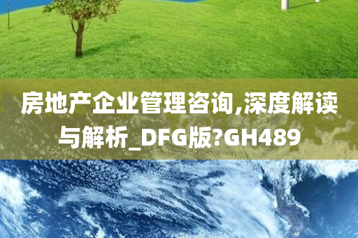 房地产企业管理咨询,深度解读与解析_DFG版?GH489