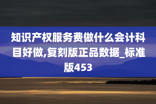 知识产权服务费做什么会计科目好做,复刻版正品数据_标准版453