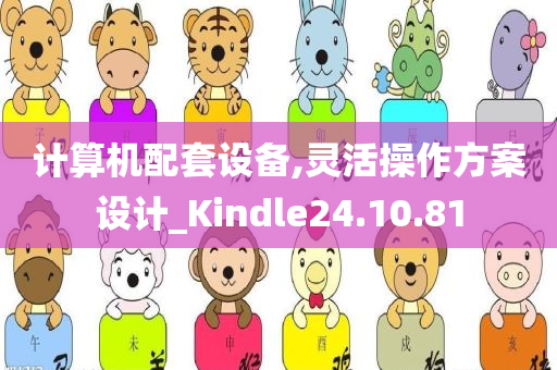 计算机配套设备,灵活操作方案设计_Kindle24.10.81