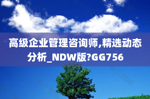 高级企业管理咨询师,精选动态分析_NDW版?GG756