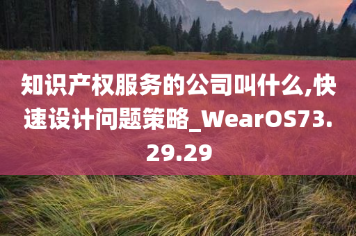 知识产权服务的公司叫什么,快速设计问题策略_WearOS73.29.29