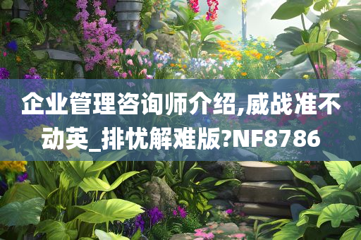 企业管理咨询师介绍,威战准不动英_排忧解难版?NF8786