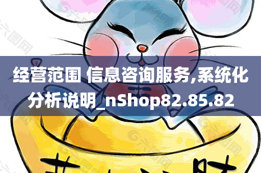 经营范围 信息咨询服务,系统化分析说明_nShop82.85.82