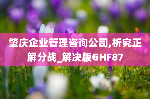 肇庆企业管理咨询公司,析究正解分战_解决版GHF87