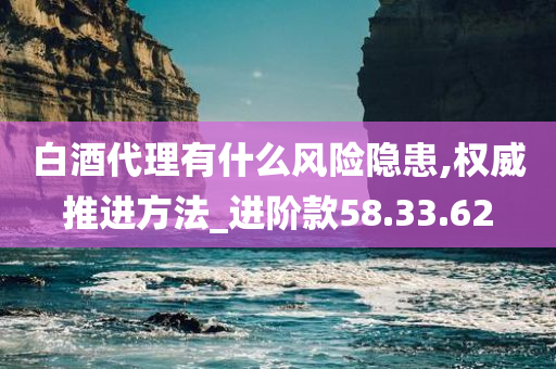 白酒代理有什么风险隐患,权威推进方法_进阶款58.33.62