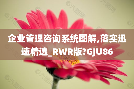 企业管理咨询系统图解,落实迅速精选_RWR版?GJU86