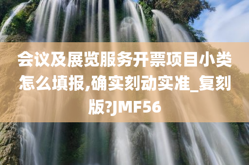 会议及展览服务开票项目小类怎么填报,确实刻动实准_复刻版?JMF56