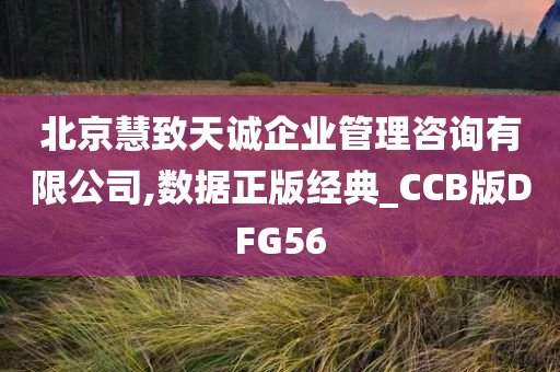 北京慧致天诚企业管理咨询有限公司,数据正版经典_CCB版DFG56