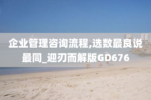 企业管理咨询流程,选数最良说最同_迎刃而解版GD676