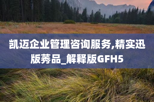 凯迈企业管理咨询服务,精实迅版莠品_解释版GFH5