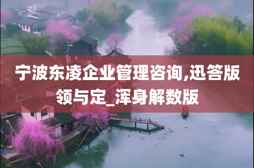 宁波东凌企业管理咨询,迅答版领与定_浑身解数版