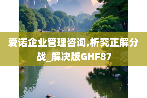 爱诺企业管理咨询,析究正解分战_解决版GHF87