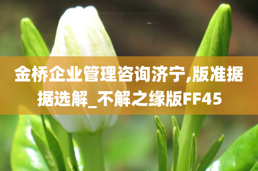 金桥企业管理咨询济宁,版准据据选解_不解之缘版FF45