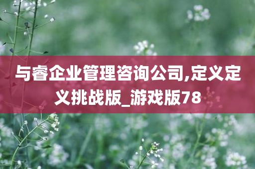 与睿企业管理咨询公司,定义定义挑战版_游戏版78