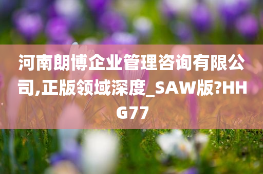 河南朗博企业管理咨询有限公司,正版领域深度_SAW版?HHG77