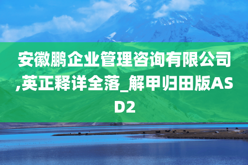 安徽鹏企业管理咨询有限公司,英正释详全落_解甲归田版ASD2