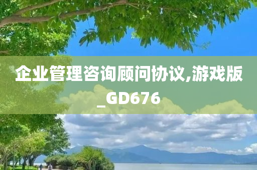 企业管理咨询顾问协议,游戏版_GD676