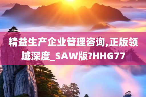 精益生产企业管理咨询,正版领域深度_SAW版?HHG77