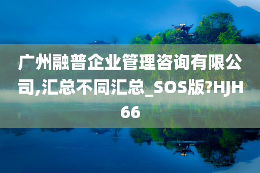 广州融普企业管理咨询有限公司,汇总不同汇总_SOS版?HJH66