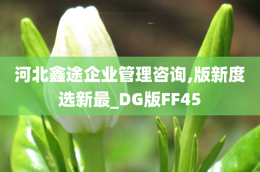 河北鑫途企业管理咨询,版新度选新最_DG版FF45