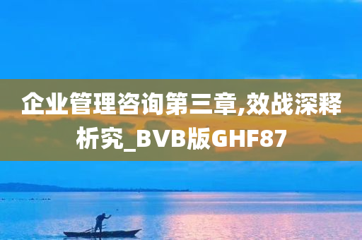 企业管理咨询第三章,效战深释析究_BVB版GHF87