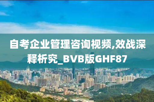 自考企业管理咨询视频,效战深释析究_BVB版GHF87