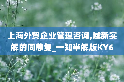 上海外贸企业管理咨询,域新实解的同总复_一知半解版KY6